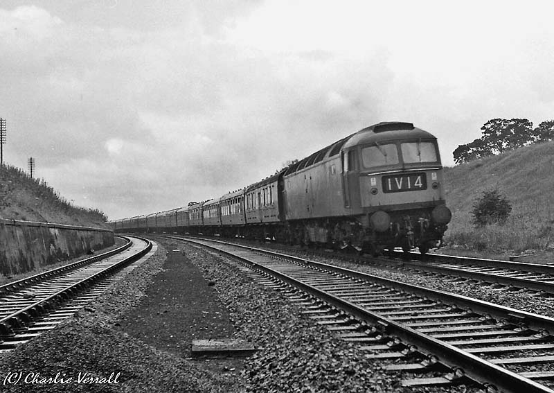 Diesel Locomotive D1733 is seen descending Hatton Bank with the 08:35pm Snow Hill to Paddington service on 8th August 1964