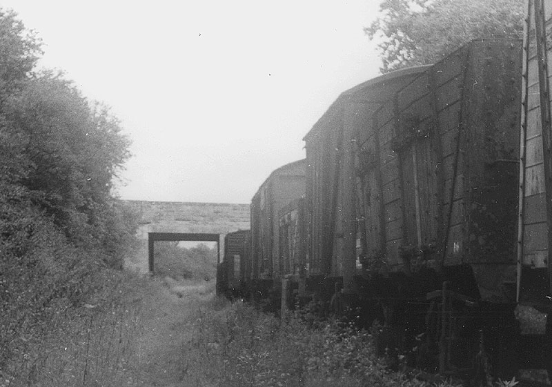 View of crippled wagons stored on the Packington Hall Estate siding which was constructed on part of the original formation