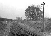 Looking along the line towards Bearley near the 2� milepost circa 1950 with a PW hut in the distance circa 1950