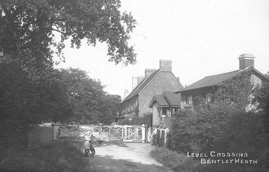 An Edwardian Postcard of Bentley Heath Level Crossing looking along Mill Lane towards Bentley Heath