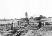 Looking towards Alcester in 1949 showing the level crossing that guarded one end of the station