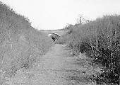 View of the abandoned track in the cutting at Lowsonford with Potato Lane bridge in distance on 3rd March 1961