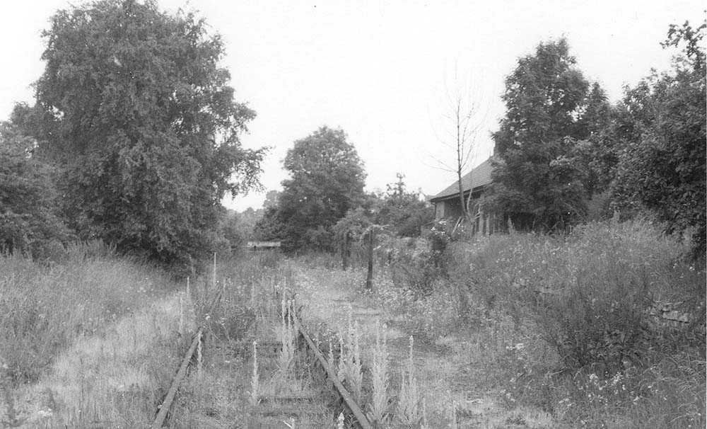 View of Henley-in-Arden's original station, now abandoned with weeds growing through the track, after closure of the goods facilities in 1964