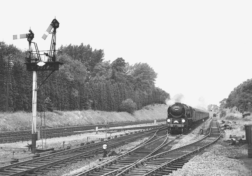 Ex-Southern Railway 4-6-2 Merchant Navy Class No 35026 'Lampart and Holt Line' approaches Lapworth on the up line with the return leg of 'The Aberdonian' rail tour on 26th June 1966