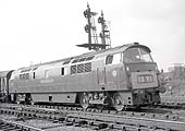 British Railways Class 52 diesel locomotive D1002 'Western Explorer' is seen at Leamington on 27th August 1962