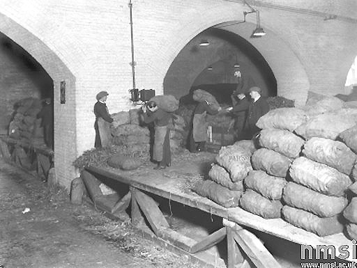 View of the potatoes being unloaded from an LMS open wagon on to timber staging for transhipment on to lorries at a later date