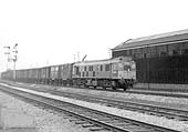 BR Sulzer Type 2 Bo-Bo No D7596 is seen at the head of the 12 15 pm Washwood Heath to Eastleigh express freight on 15th February 1965