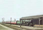 Ex-GWR 4-6-0 King class No 6017 'King Edward IV' is seen passing a goods shed on an up Birkenhead to Paddington express service on 29th August 1959