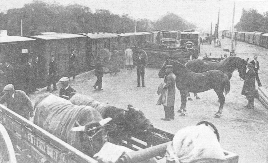 A busy scene in early July 1931, showing the new wide platform and sidings at Capes Yard, just north of Warwick