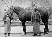 Mr John James King and a fellow worker standing in front of one of the many horses stabled at Coventry station
