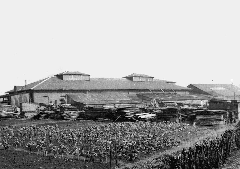 A side view of the former B&DJR shed located between the up and down lines of the Whitacre branch on 20th May 1954