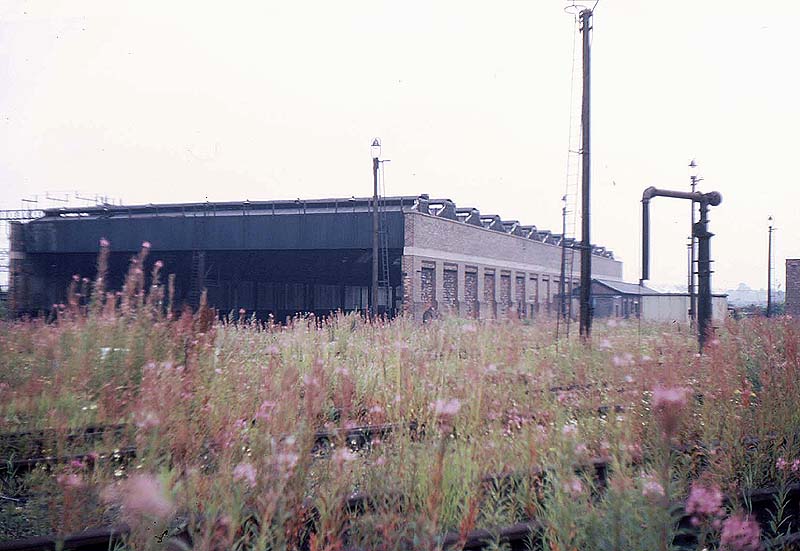 View of Nuneaton shed long since closed and now abandoned to the rosebay willow herb in August 1968