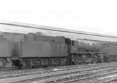 Ex-WD 2-8-0 No 90066 stands alongside the carriage shed at Rugby shed on 24th February 1963