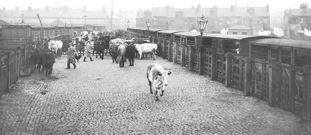Looking along Rugby's Cattle Dock towards Wood Street with cattle sidings located on either side of the cobbled way