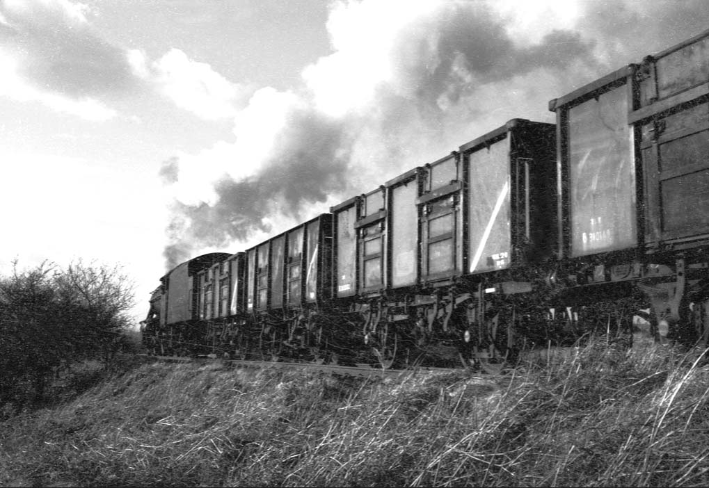 Ex-LMS 8F 2-8-0 No 48646 is seen at the head of train of empty wagons bound for Baddesley Colliery