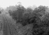 Looking from Bridge No 8 towards Whitacre with Bridge No 9 carrying the railway over the river in the middle distance