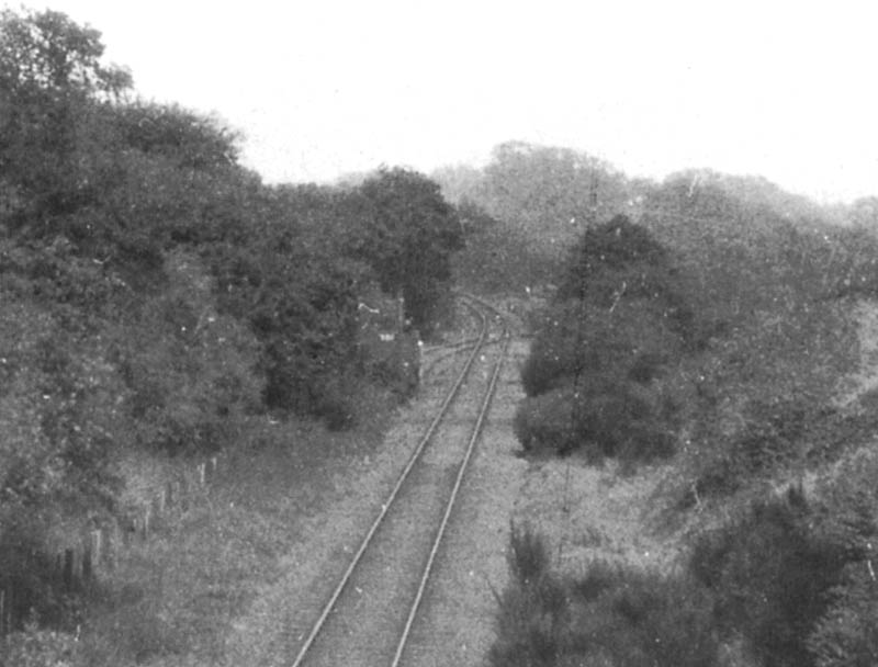 Bridge No 22 - Looking towards Coleshill with a single wagon standing on Packington's siding in 1920