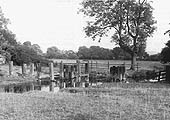 Bridge No 12 - The timber supports and tressles are all that remain of the timber bridge as seen in 1951
