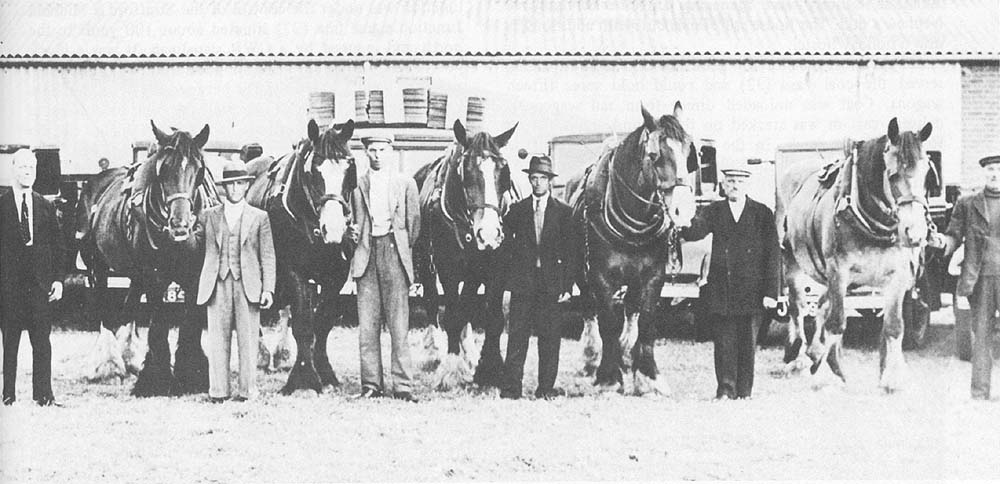 Employees of Hutchings & Company stand proudly holding the heads of their charges for this 1938 photograph
