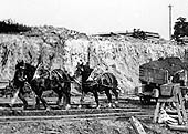 Close up view of a team of two horses being used to move the fully loaded contractors wagon