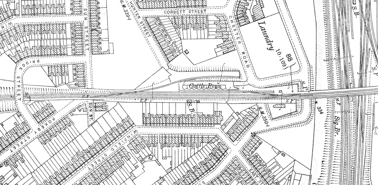 A 1903 25 inches to the mile Ordnance Survey Map of Rugby's Cattle Sidings., Pens and Signal Cabin