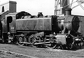 British Railways built 0-6-0T No 1501 is seen standing in line ahead of classmate No 1509 at the front of Coventry Colliery shed